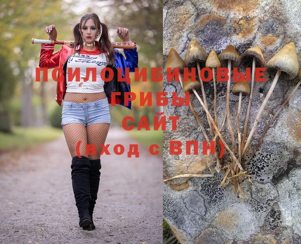дживик Аркадак