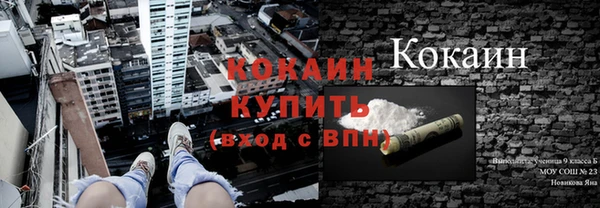 дживик Аркадак
