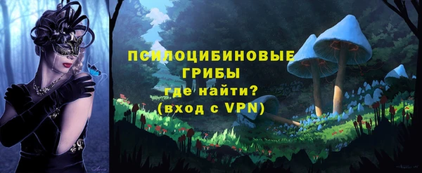 дживик Аркадак
